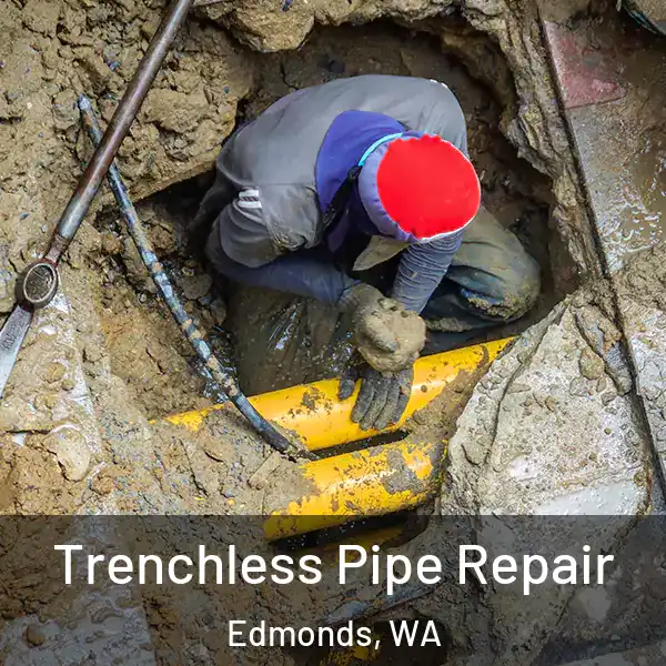  Trenchless Pipe Repair Edmonds, WA